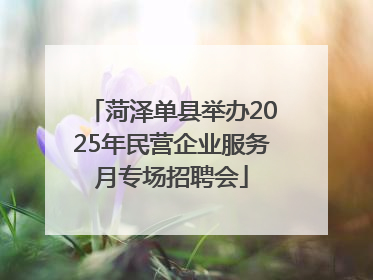 菏泽单县举办2025年民营企业服务月专场招聘会