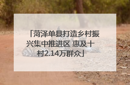 菏泽单县打造乡村振兴集中推进区 惠及十村2.14万群众