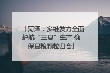 菏泽：多维发力全面护航“三夏”生产 确保夏粮颗粒归仓