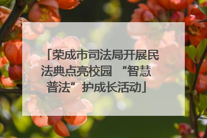 荣成市司法局开展民法典点亮校园 “智慧普法”护成长活动