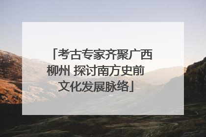考古专家齐聚广西柳州 探讨南方史前文化发展脉络