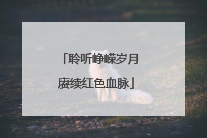 聆听峥嵘岁月 赓续红色血脉