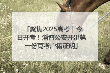聚焦2025高考｜今日开考！淄博公安开出第一份高考户籍证明