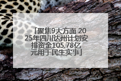 聚焦9大方面 2025年四川达州计划安排资金105.78亿元用于民生实事