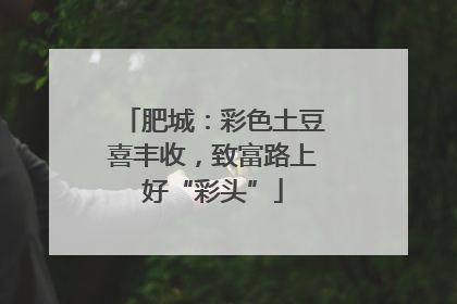 肥城：彩色土豆喜丰收，致富路上好“彩头”
