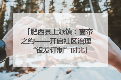 肥西县上派镇：窗帘之约——开启社区治理“银发订制”时光