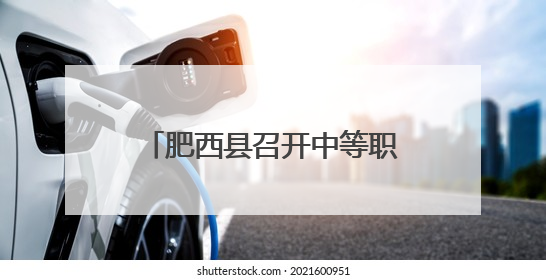 肥西县召开中等职业教育工作大会