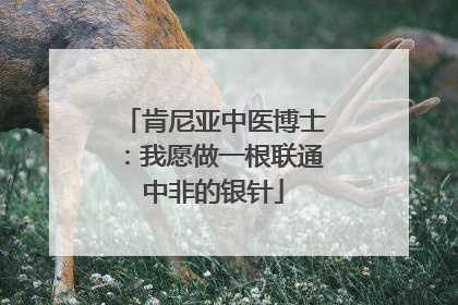 肯尼亚中医博士：我愿做一根联通中非的银针