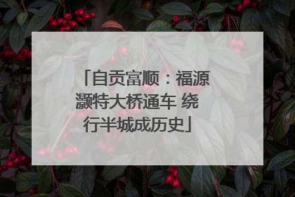 自贡富顺：福源灏特大桥通车 绕行半城成历史