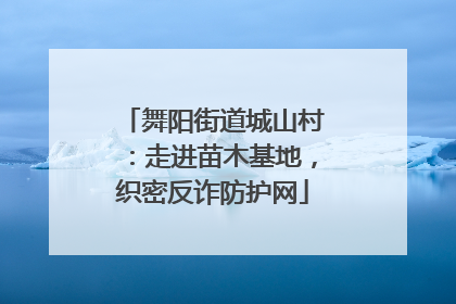 舞阳街道城山村：走进苗木基地，织密反诈防护网