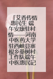 艾香传情惠民生 端午安康驻村情——河南中医药大学驻西峡县寨根乡桑树村工作队端午中医惠民记