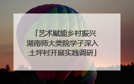 艺术赋能乡村振兴 湖南师大美院学子深入土坪村开展实践调研