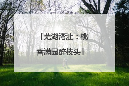 芜湖湾沚：桃香满园醉枝头