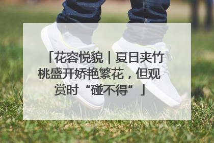 花容悦貌｜夏日夹竹桃盛开娇艳繁花，但观赏时“碰不得”