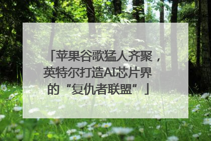 苹果谷歌猛人齐聚，英特尔打造AI芯片界的“复仇者联盟”