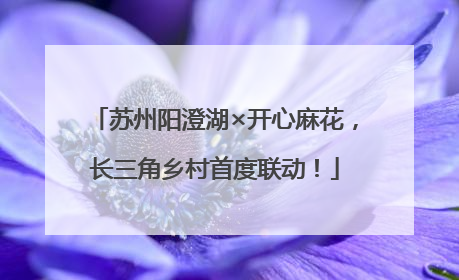 苏州阳澄湖×开心麻花，长三角乡村首度联动！