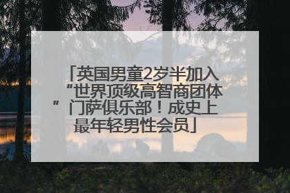 英国男童2岁半加入“世界顶级高智商团体”门萨俱乐部！成史上最年轻男性会员