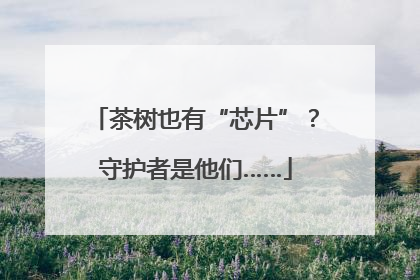 茶树也有“芯片”？守护者是他们……
