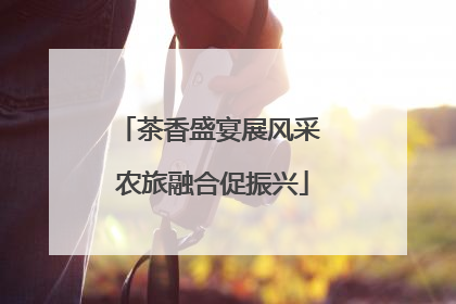 茶香盛宴展风采 农旅融合促振兴