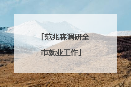 范兆森调研全市就业工作