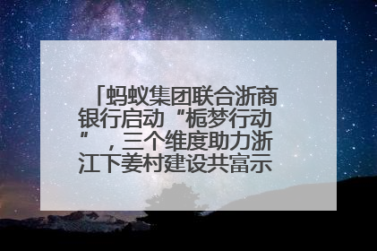 蚂蚁集团联合浙商银行启动“栀梦行动”，三个维度助力浙江下姜村建设共富示范区示范点