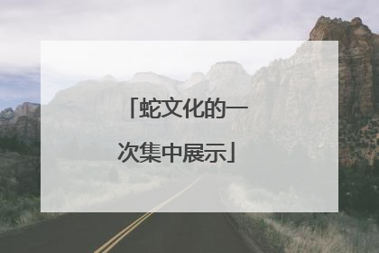 蛇文化的一次集中展示