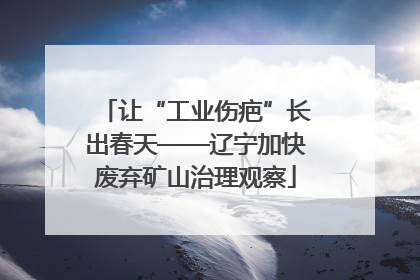 让“工业伤疤”长出春天——辽宁加快废弃矿山治理观察