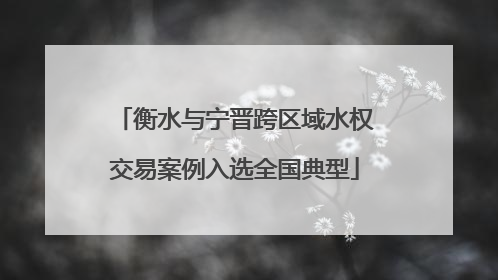 衡水与宁晋跨区域水权交易案例入选全国典型