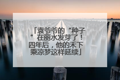 袁爷爷的“种子”在丽水发芽了！四年后，他的禾下乘凉梦这样延续