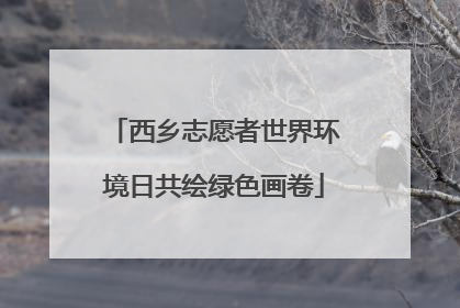西乡志愿者世界环境日共绘绿色画卷