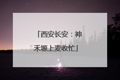 西安长安：神禾塬上麦收忙