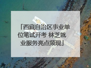 西藏自治区事业单位笔试开考 林芝就业服务亮点频现