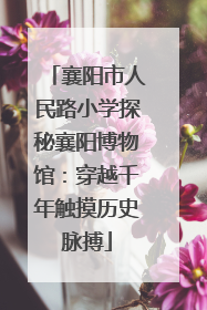 襄阳市人民路小学探秘襄阳博物馆：穿越千年触摸历史脉搏