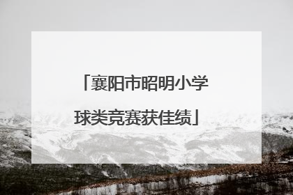 襄阳市昭明小学球类竞赛获佳绩