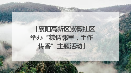襄阳高新区紫薇社区举办“粽情邻里，手作传香”主题活动