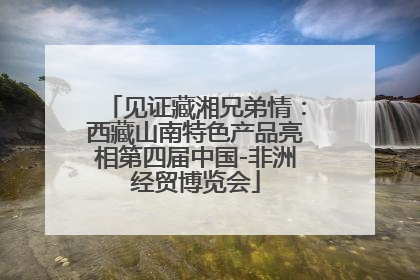 见证藏湘兄弟情：西藏山南特色产品亮相第四届中国-非洲经贸博览会