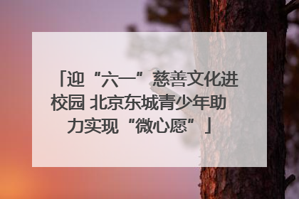 迎“六一”慈善文化进校园 北京东城青少年助力实现“微心愿”