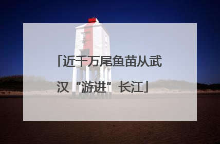 近千万尾鱼苗从武汉“游进”长江