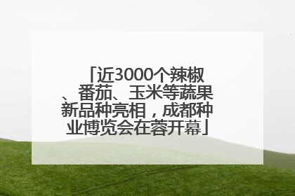 近3000个辣椒、番茄、玉米等蔬果新品种亮相，成都种业博览会在蓉开幕