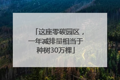 这座零碳园区，一年减排量相当于种树30万棵