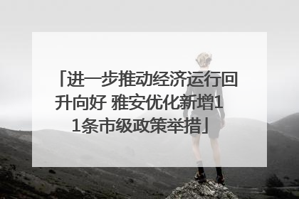 进一步推动经济运行回升向好 雅安优化新增11条市级政策举措