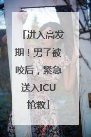 进入高发期！男子被咬后，紧急送入ICU抢救