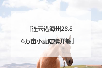 连云港海州28.86万亩小麦陆续开镰