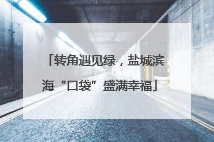 转角遇见绿，盐城滨海“口袋”盛满幸福
