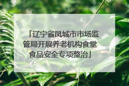 辽宁省凤城市市场监管局开展养老机构食堂食品安全专项整治