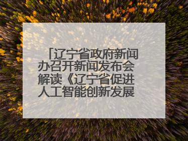 辽宁省政府新闻办召开新闻发布会解读《辽宁省促进人工智能创新发展实施方案》