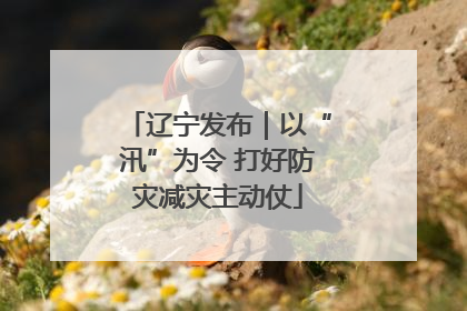 辽宁发布｜以“汛”为令 打好防灾减灾主动仗