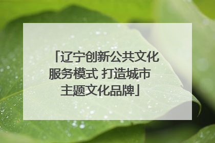 辽宁创新公共文化服务模式 打造城市主题文化品牌