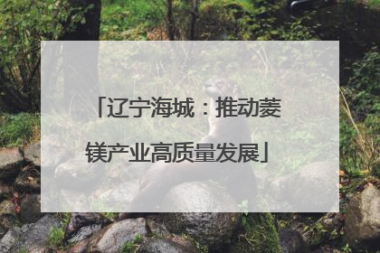 辽宁海城：推动菱镁产业高质量发展