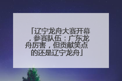 辽宁龙舟大赛开幕，参赛队伍：广东龙舟厉害，但贡献笑点的还是辽宁龙舟
